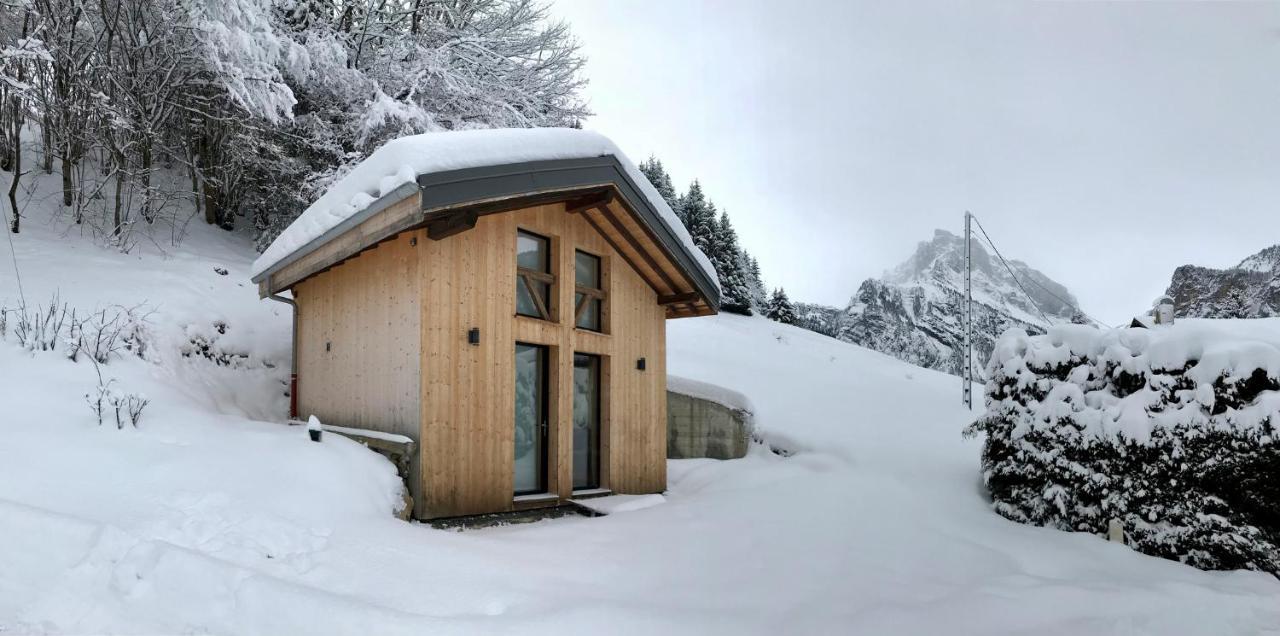 Chalet*** Au Pied D'Une Prairie Face A La Montagne Sixt Exterior foto