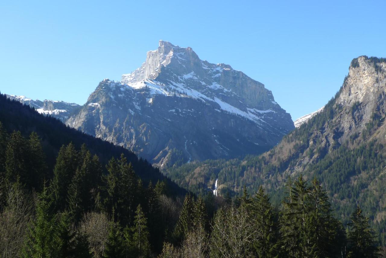 Chalet*** Au Pied D'Une Prairie Face A La Montagne Sixt Exterior foto