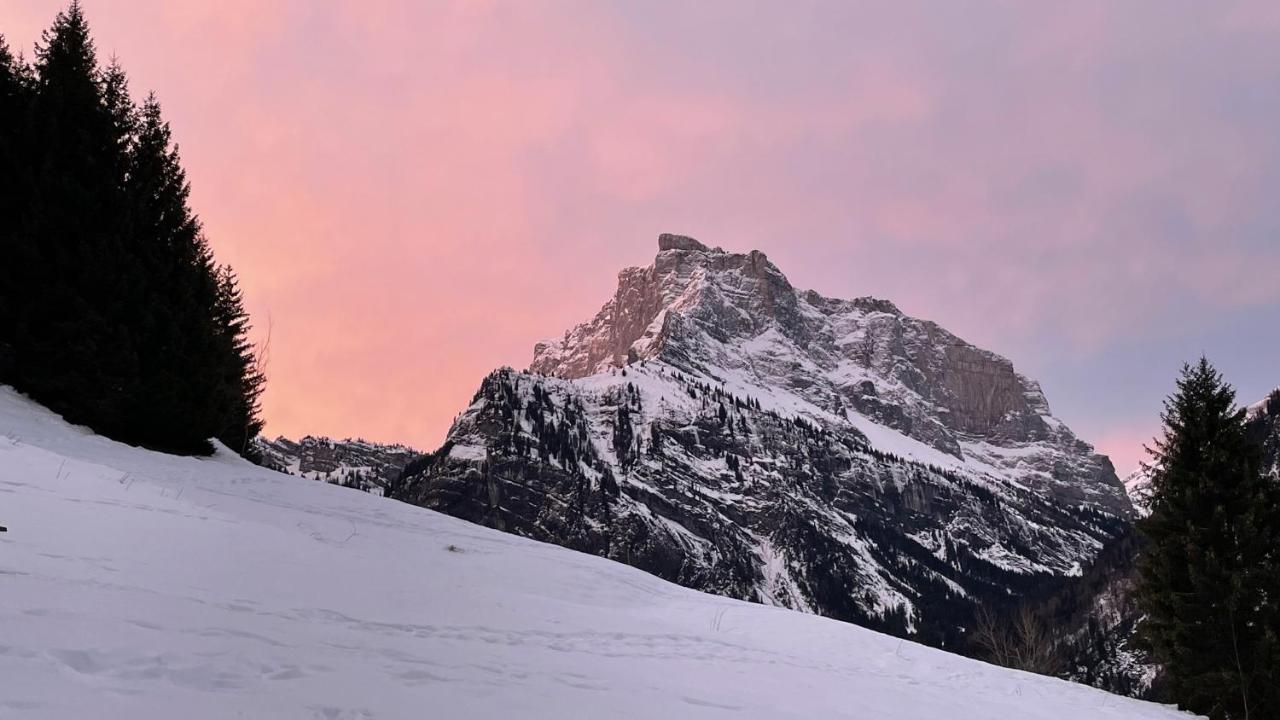 Chalet*** Au Pied D'Une Prairie Face A La Montagne Sixt Exterior foto