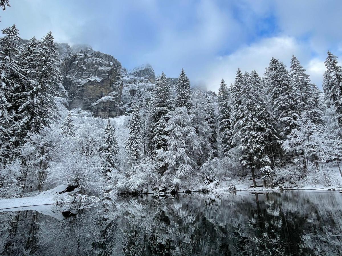 Chalet*** Au Pied D'Une Prairie Face A La Montagne Sixt Exterior foto